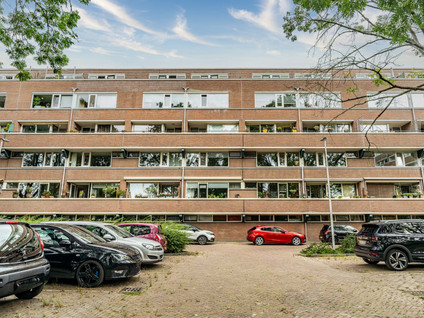 Raaphorst 99