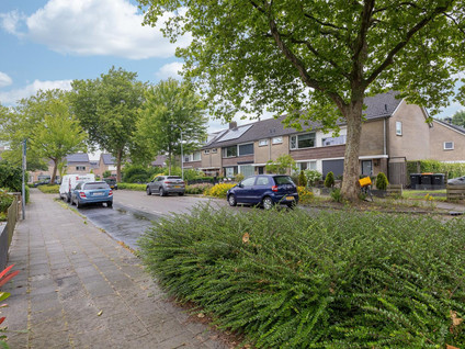 Hertog Albrechtstraat 10