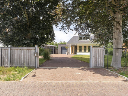 Hogezoom 113