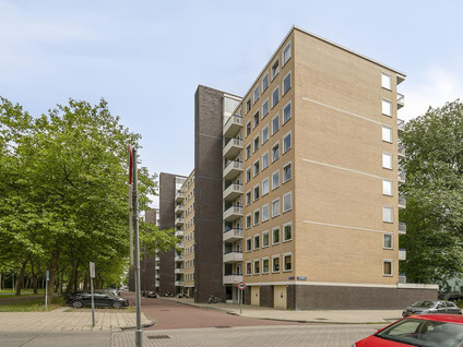 Van Nijenrodeweg 167