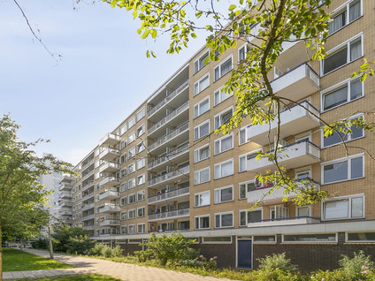 Van Nijenrodeweg 167
