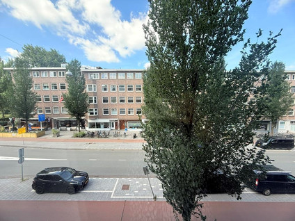 Rijnstraat 231 2