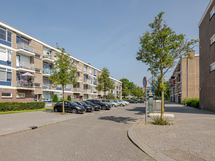 Middelrode 67
