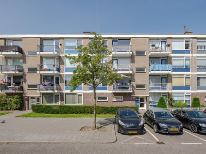 Middelrode 67