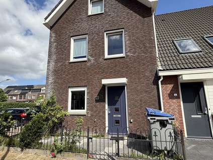 Steur 1