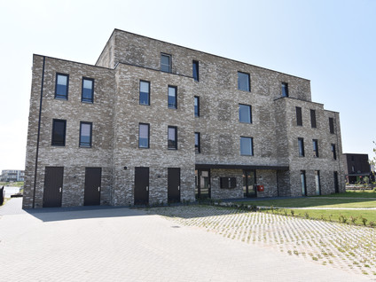 Muiltje 29