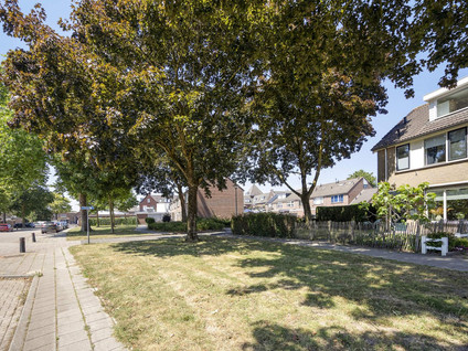Olieakkerstraat 13