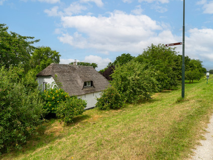 Maasdijk 50
