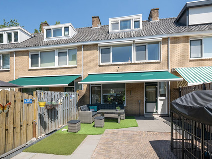 Lingestraat 6