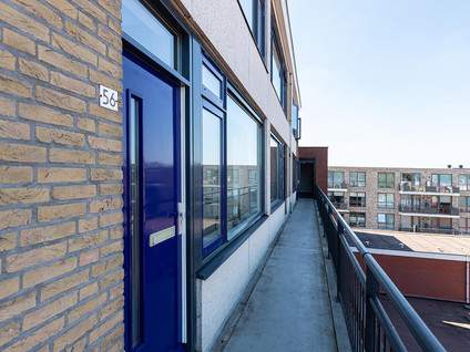 Willem de Zwijgerstraat 56