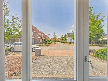 Tapijtschelp 60