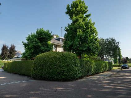Voorhout 5