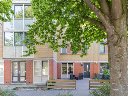 Cronenstein 22