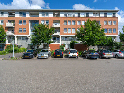 S.O.J. Palmelaan 255