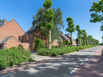 Duijvenbrug 11