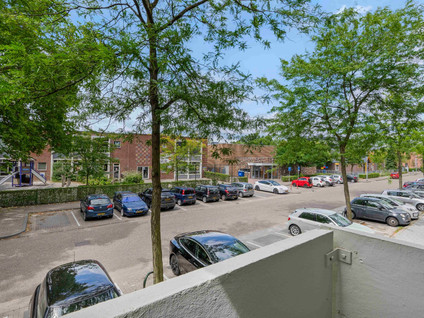 Albert Cuypstraat 8