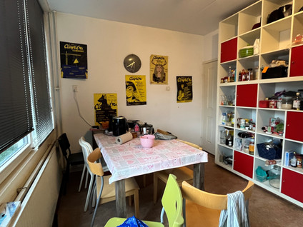 Robijnstraat 46