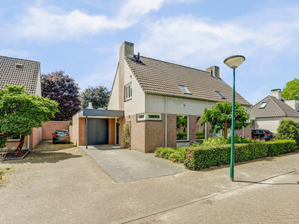 Gentiaan 6