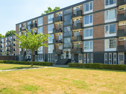 Tobias Asserlaan 316