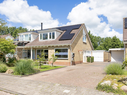 De Terpen 5