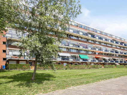 Obrechtstraat 319