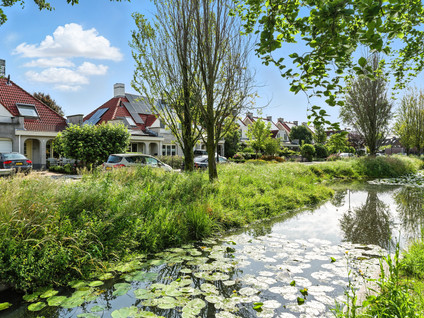 De Vang 12
