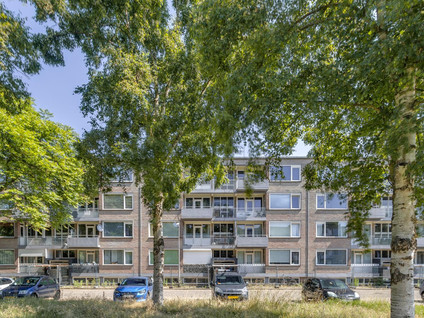 Europalaan 73