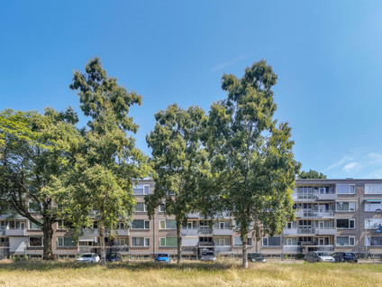 Europalaan 73