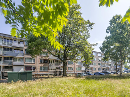 Europalaan 73