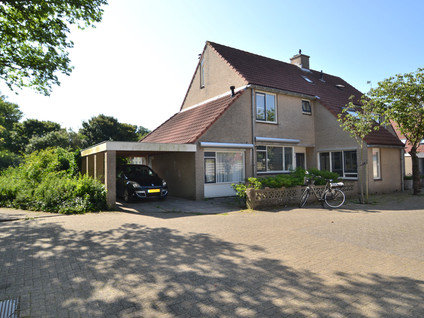 Steenbok 31