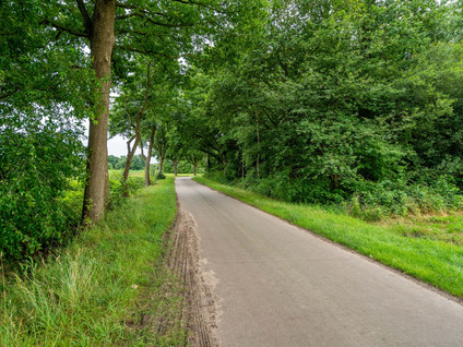 Koekoeksweg 1B