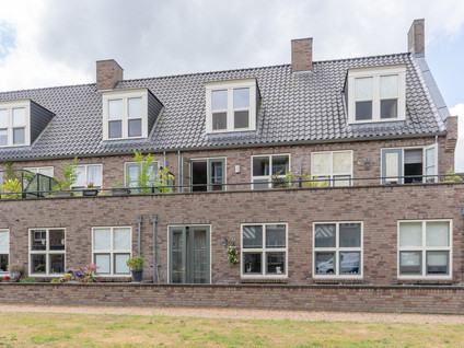 Groot Horloo 50