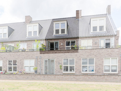 Groot Horloo 50