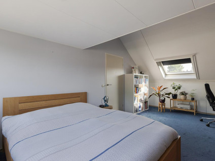 Livingstonelaan 20