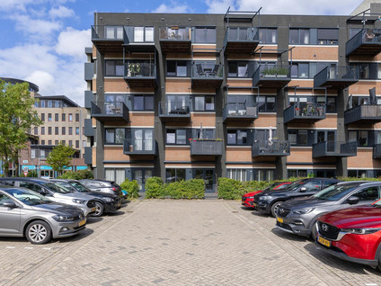 Zandsteen 97