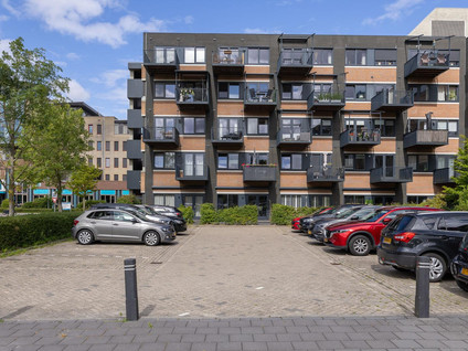 Zandsteen 97