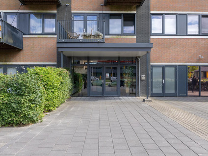 Zandsteen 97