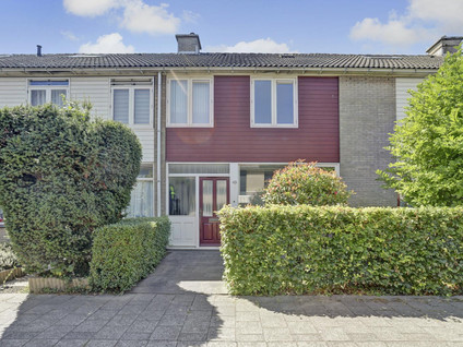 Dolphijnstraat 43