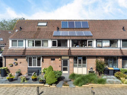 Sleutelbloem 3