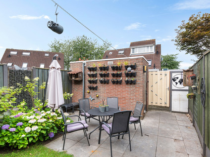 Sleutelbloem 3