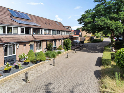 Sleutelbloem 3