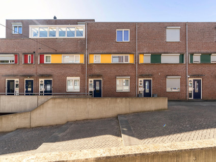 Papyrussingel 116