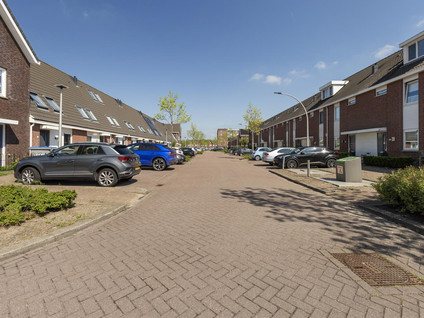 Steur 1