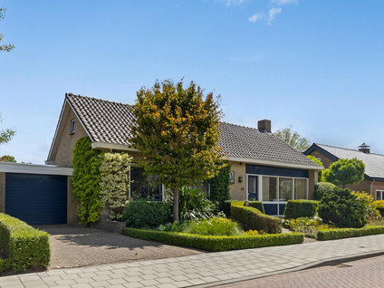 Kastanjestraat 20