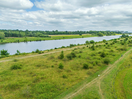 Watermunt 144