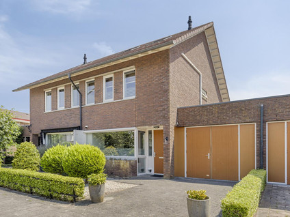 Kleefkruid 16