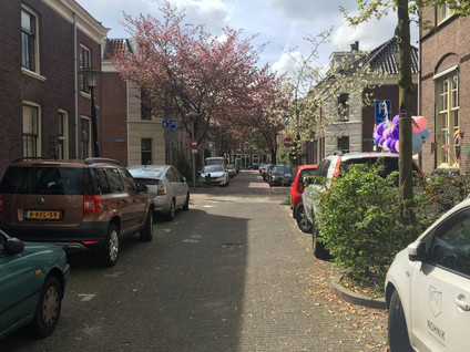 Adriaanstraat 22