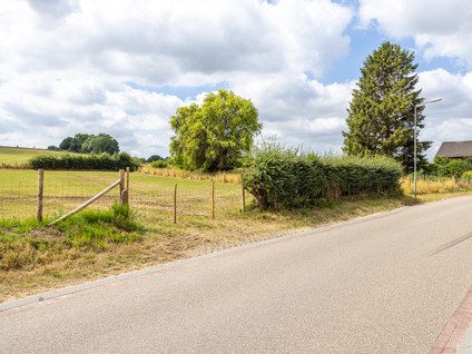 Hegge 146A