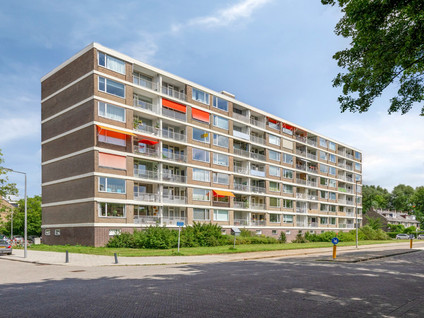 Mansdalestraat 84