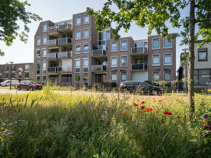 Tweede Bothofdwarsstraat 2 13